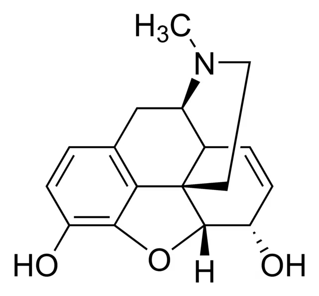 嗎啡標(biāo)準溶液 1.0mg/mL