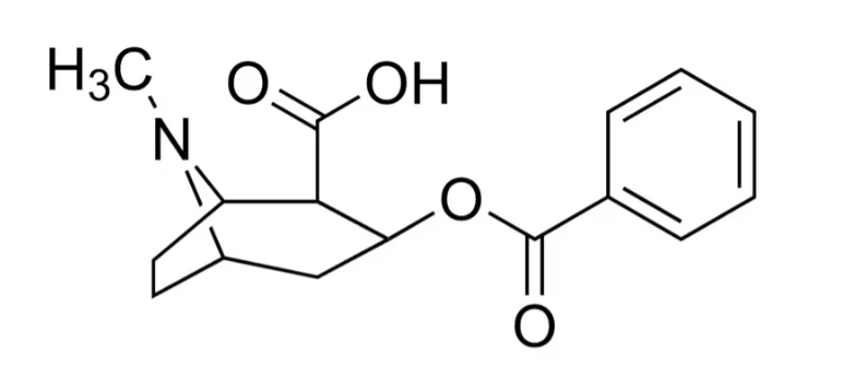 苯甲醯艾克寧標(biāo)準(zhǔn)品