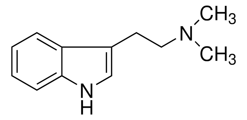 N,N-二甲基色胺標(biāo)準(zhǔn)品