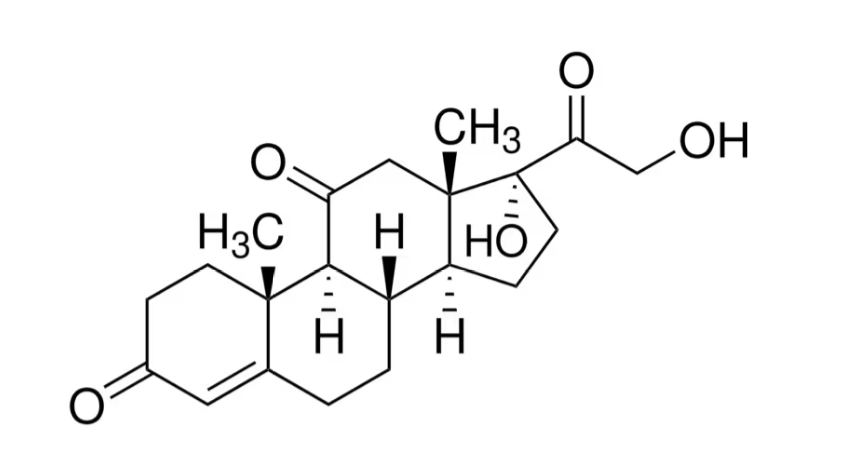 可的松標(biāo)準(zhǔn)品